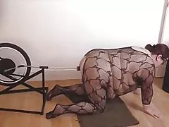 BBW fuck cykel