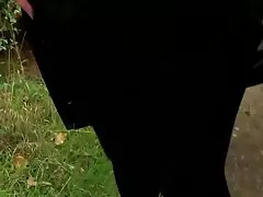 Brittiska sluts älskar dogging 2 - tamara grace