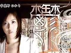 Tsubaki mellow hus-genom packmans
