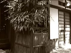 Aoba ito hela filmen