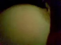 Heta malajiska bohsia