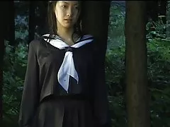 Japanska mjukporr 229