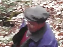 Skogen-serien - skogen vilda